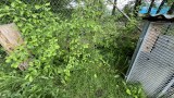 IMG_0314
